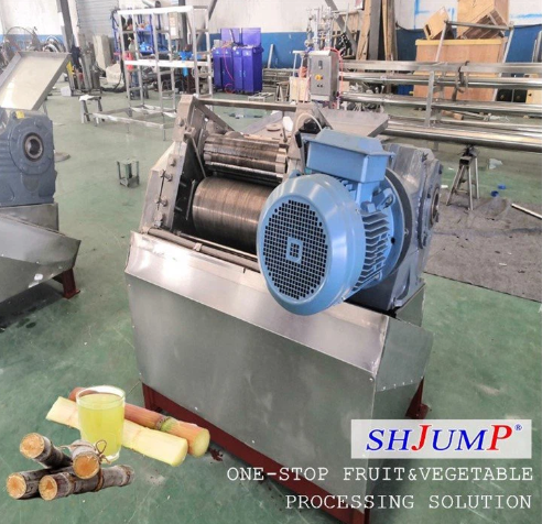 Sugarcane Product Processing Line